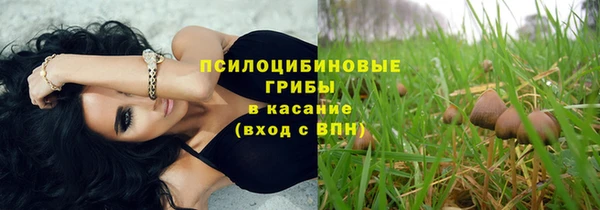 прущая мука Алексин