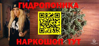 гидра Дубна