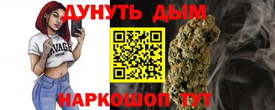 гидра Дубна