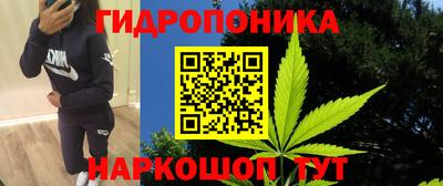 гидра Дубна